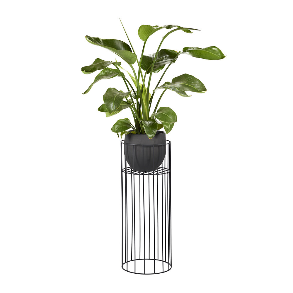 WhatsApp Image 2021-02-21 at 17.03.31 (18)