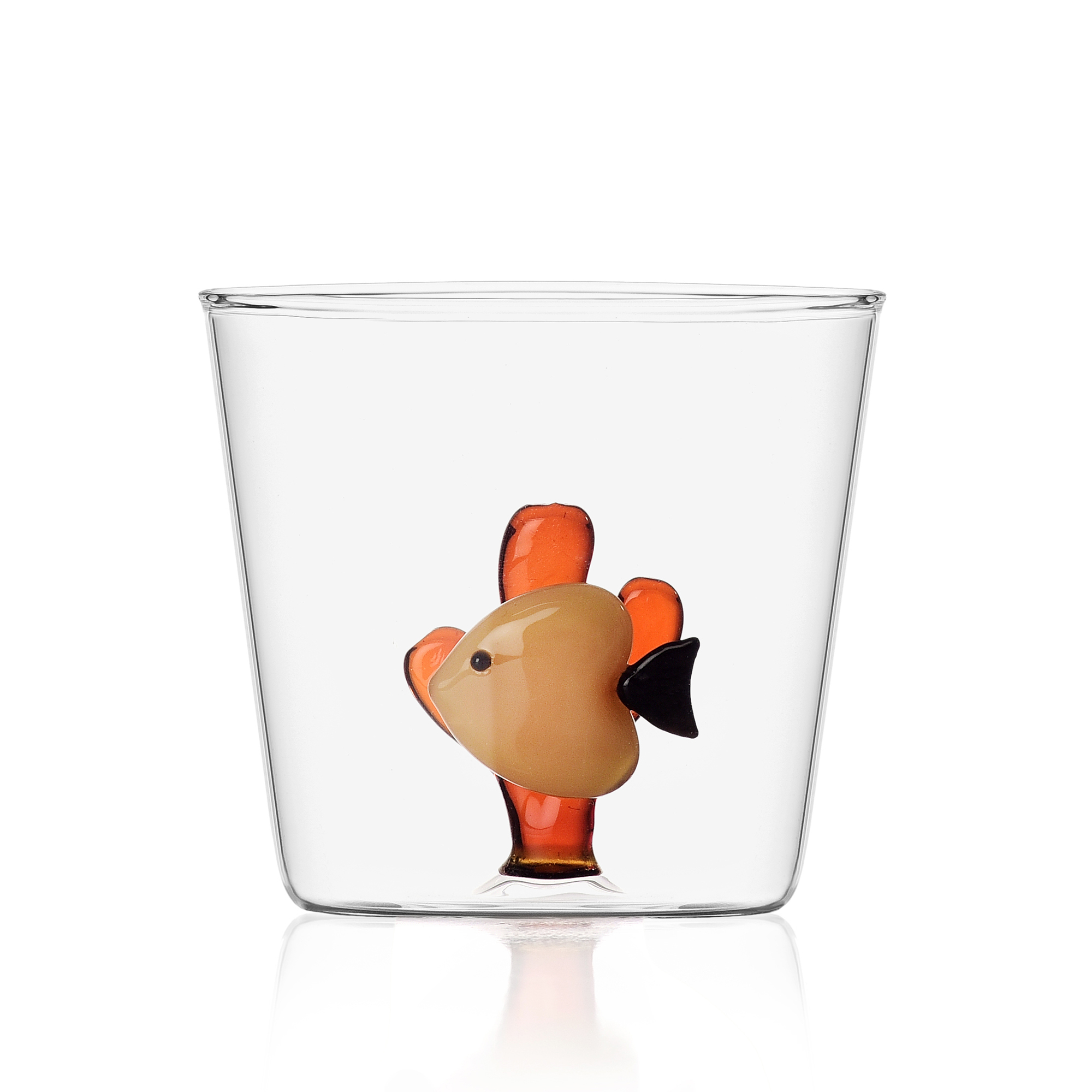 pesce giallo alga a,mbra