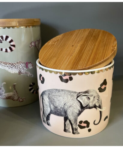 barattolo piccolo elefante 2