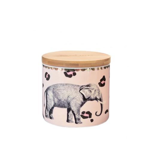 barattolo piccolo elefante