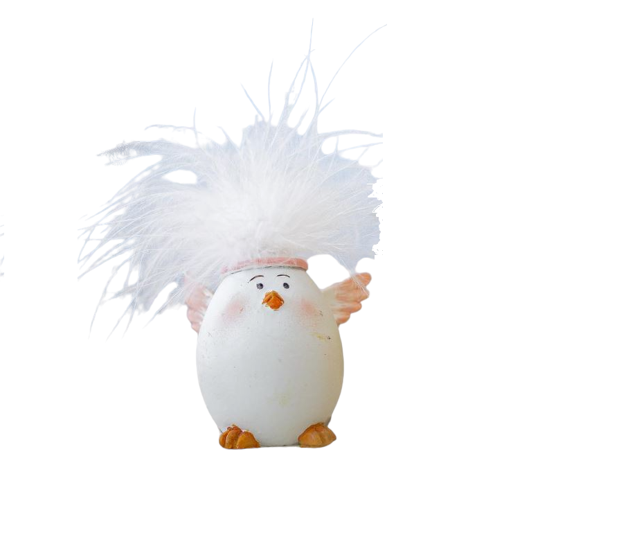 65454-PhotoRoom - Copia